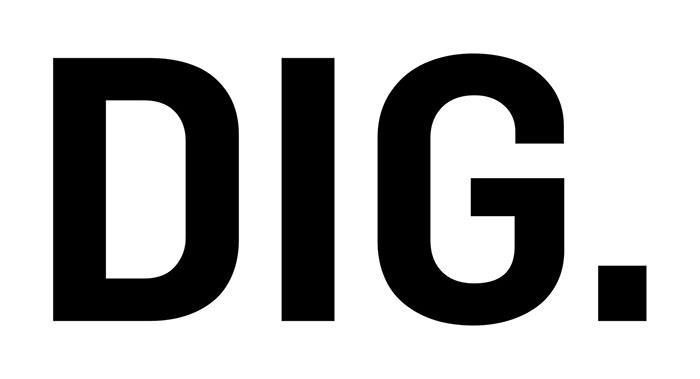 DIG logo